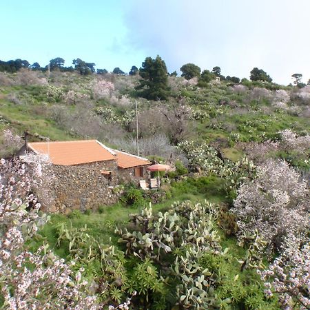 Maison d'hôtes Casa Rural La Jarita à El Pinar  Extérieur photo