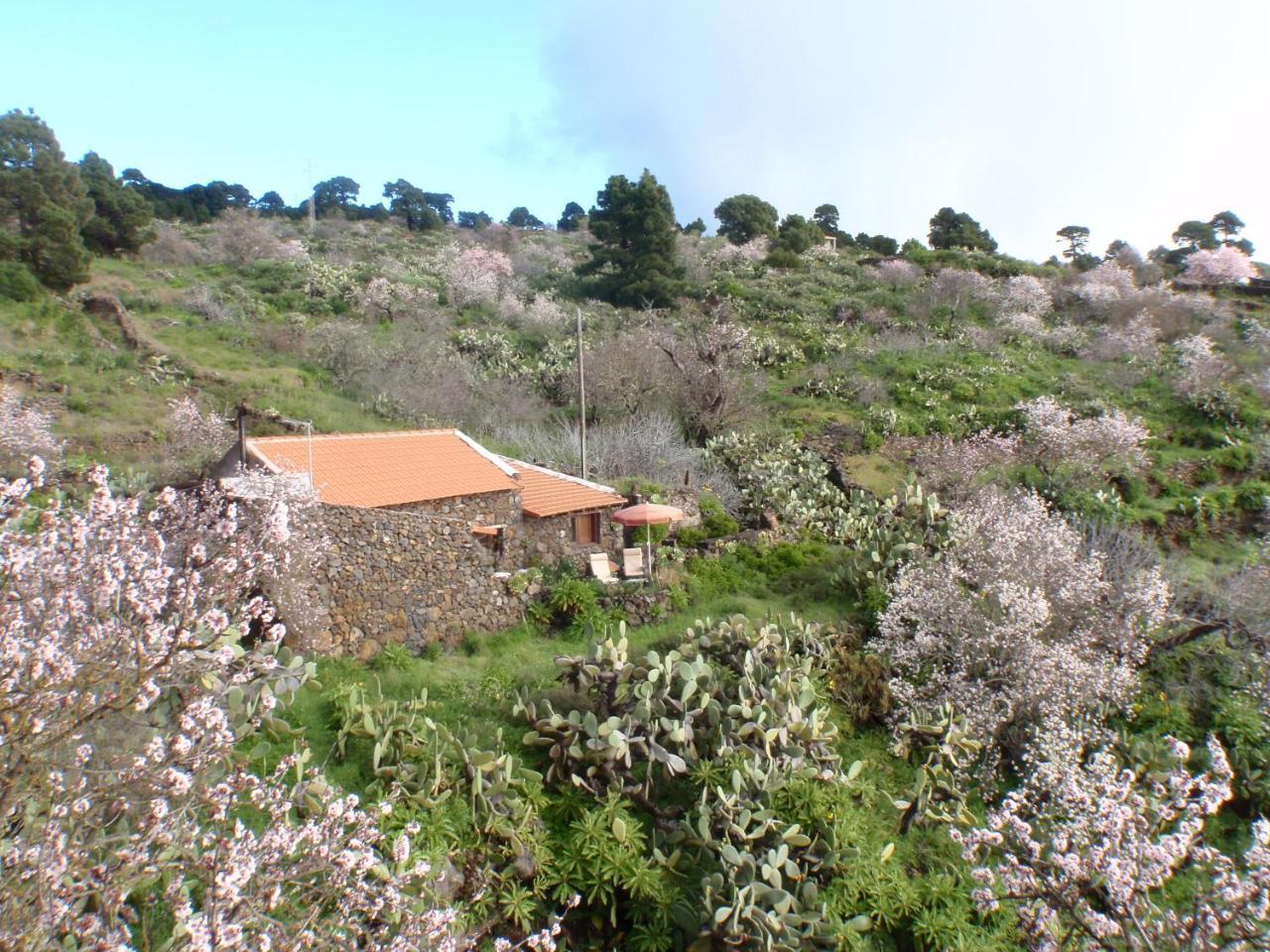 Maison d'hôtes Casa Rural La Jarita à El Pinar  Extérieur photo